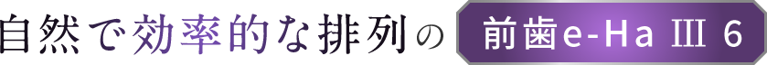 自然で効率的な排列 前歯e-Ha Ⅲ 6